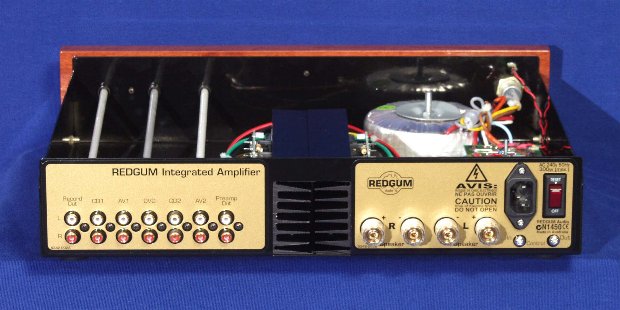 REDGUM RGi60 Amplifier - rear view