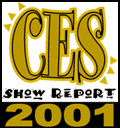CES 2001 Special Show Site
