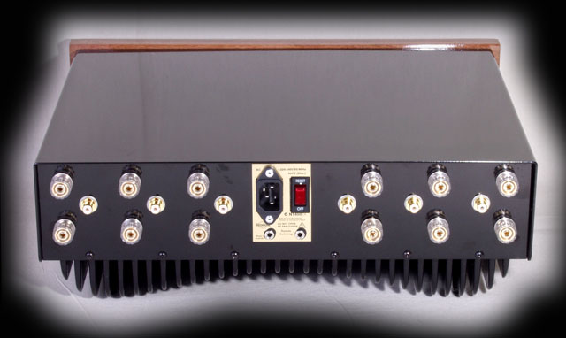 REDGUM RGH900 Amplifier rear view