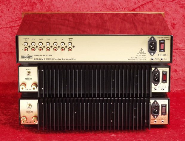 REDGUM RGM175 monobloc amplifier - rear view